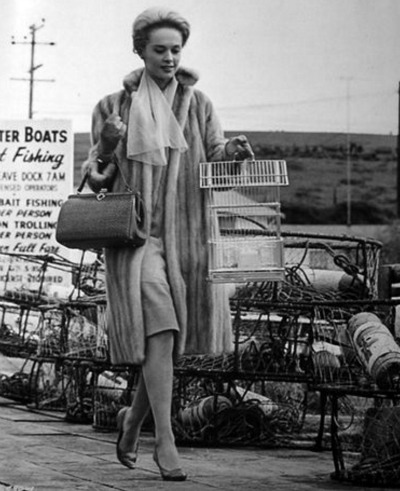 Tippi on the pier.