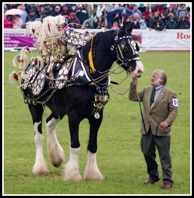 horse-brass-competition