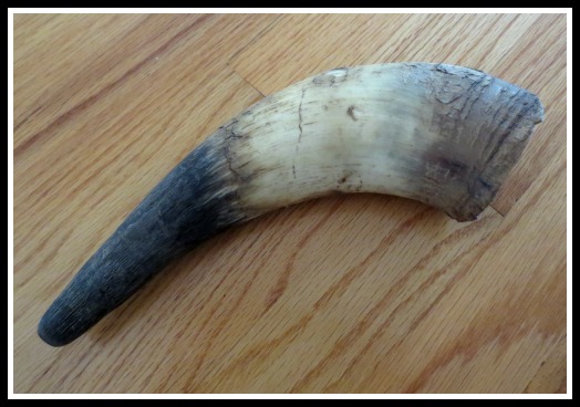 cow-horn1